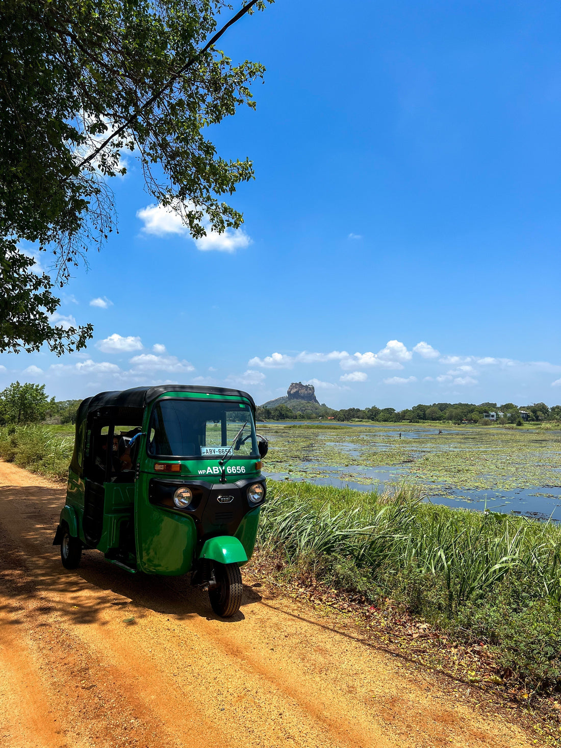 Rondreis Sri Lanka met kleine kinderen 🐆🐘