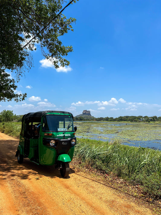 Rondreis Sri Lanka met kleine kinderen 🐆🐘